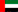 UAE flag